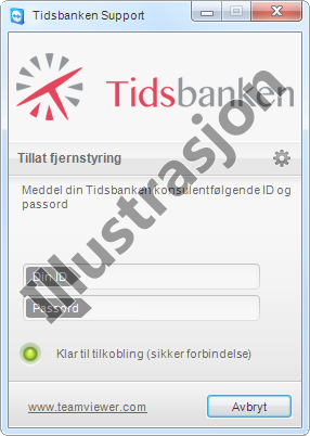 Tidsbanken fjernsupport, TeamViewer
